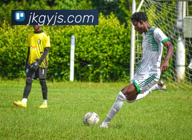 星空平台生态图